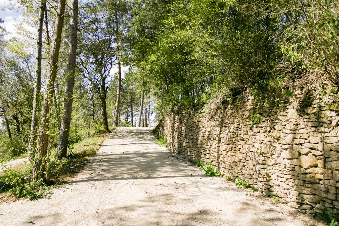 Au pr&eacute; de l'abre